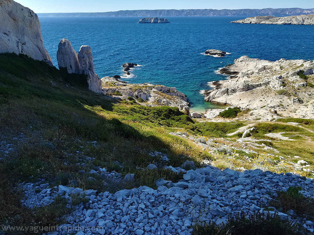 La nature du Frioul