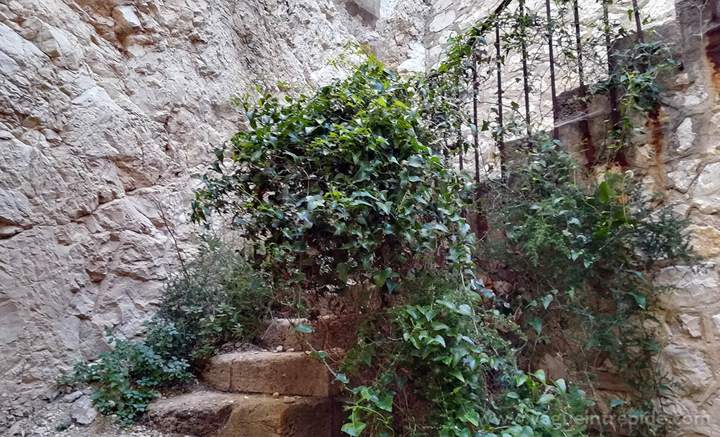 Les escaliers sauvages du fort de Ratonneau